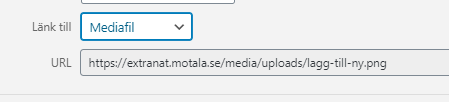 Rubriken Länk till följt av en drop-down-meny där Mediafil är valt. Filens adress visas också