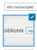 Skärmklipp som visar att bilden är vald i mediebiblioteket genom att den har en blå ram runt sig.