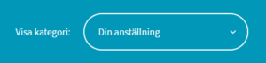 Blå ruta med texten Visa kategori, och där kategorin Din anställning är vald.